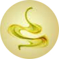 stomaco